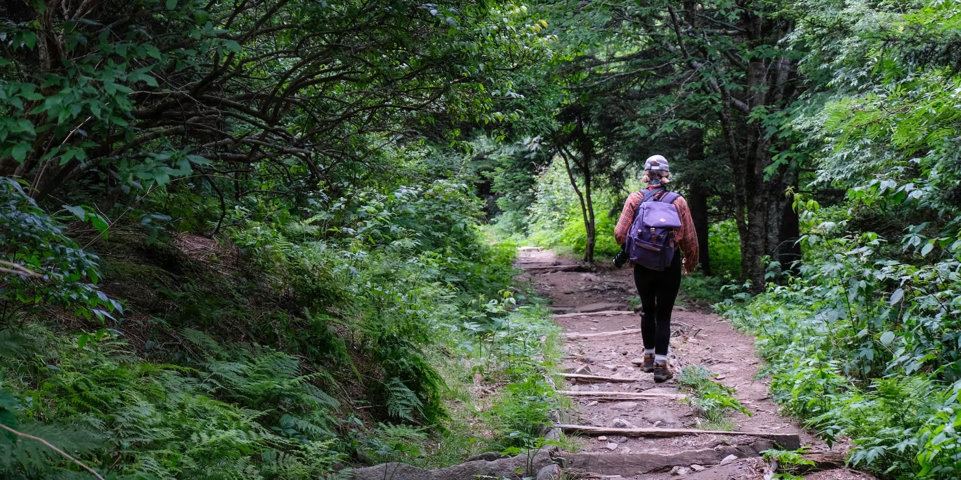 Book Your Stay at Motel 6 Gatlinburg
