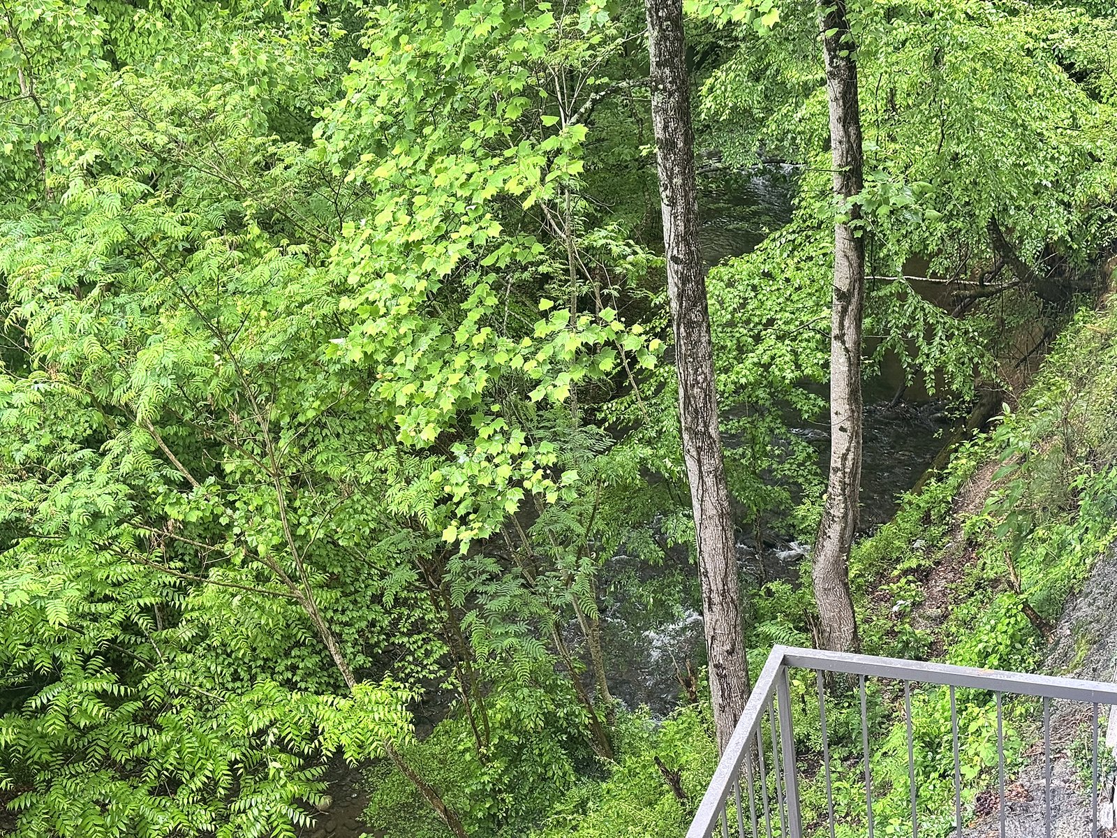 View of Pigeon River from walkway at Motel 6 Gatlinburg