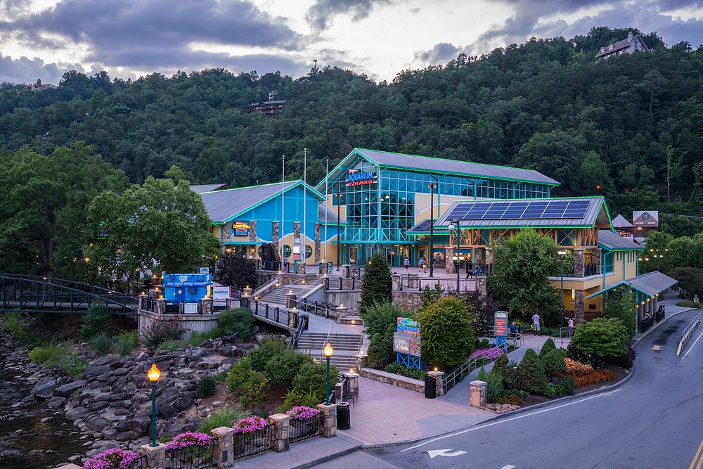 Ripley's Aquarium of the Smokies underwater tunnel with tropical fish and marine life